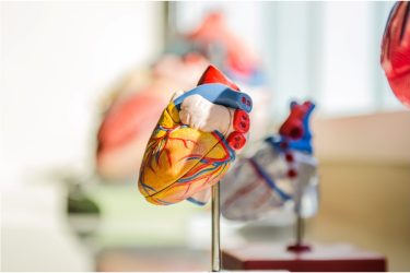 Почему возникает инфаркт миокарда и как распознать его вовремя